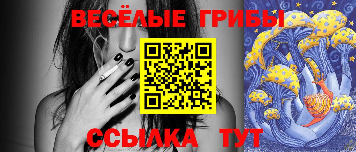 Псилоцибиновые грибы мицелий Мурманск