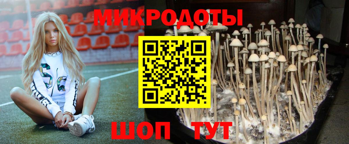 Мурманск  Псилоцибиновые грибы Cubensis  Псилоцибиновые грибы мицелий  Вход с VPN 
